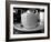 The Perfect Cup-Scott Amour-Framed Photographic Print