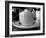 The Perfect Cup-Scott Amour-Framed Photographic Print