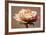 The Perfect Rose-Christine Zalewski-Framed Premium Giclee Print