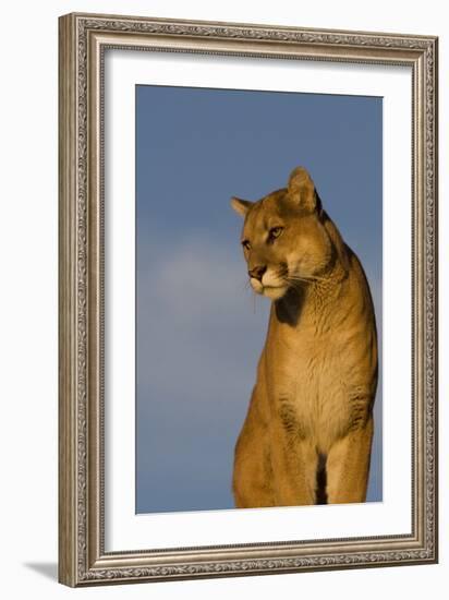 The Perfect View-Susann Parker-Framed Photographic Print