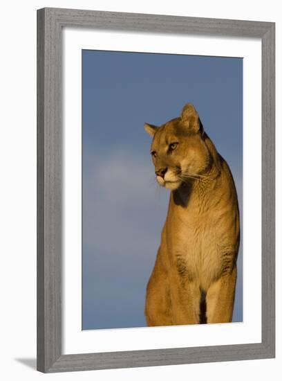 The Perfect View-Susann Parker-Framed Photographic Print