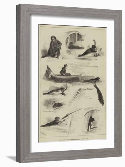 The Performing Seal at the Royal Aquarium-null-Framed Giclee Print