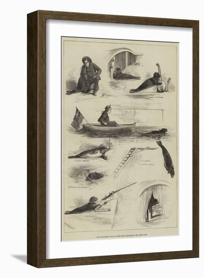 The Performing Seal at the Royal Aquarium-null-Framed Giclee Print