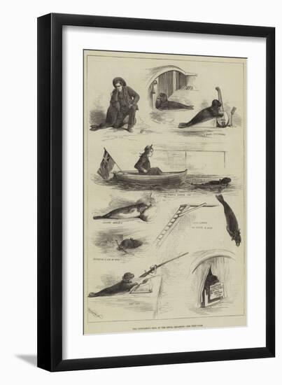 The Performing Seal at the Royal Aquarium-null-Framed Giclee Print