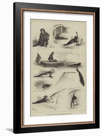 The Performing Seal at the Royal Aquarium-null-Framed Giclee Print