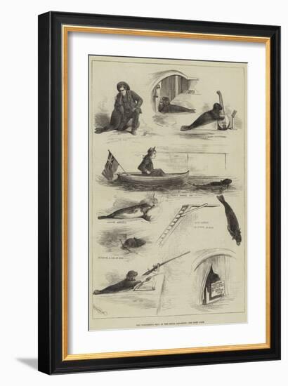 The Performing Seal at the Royal Aquarium-null-Framed Giclee Print