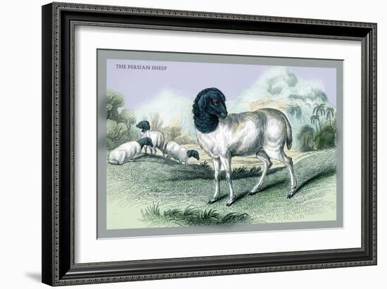 The Persian Sheep-John Stewart-Framed Art Print