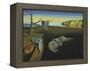 The Persistence of Memory-Salvador Dali-Framed Stretched Canvas