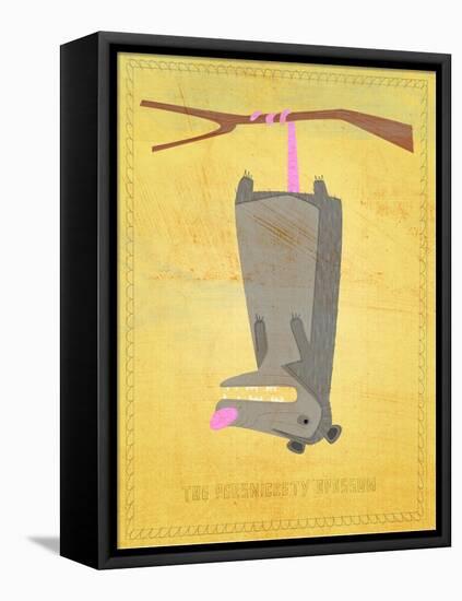 The Persnickety Opossum-John W Golden-Framed Premier Image Canvas