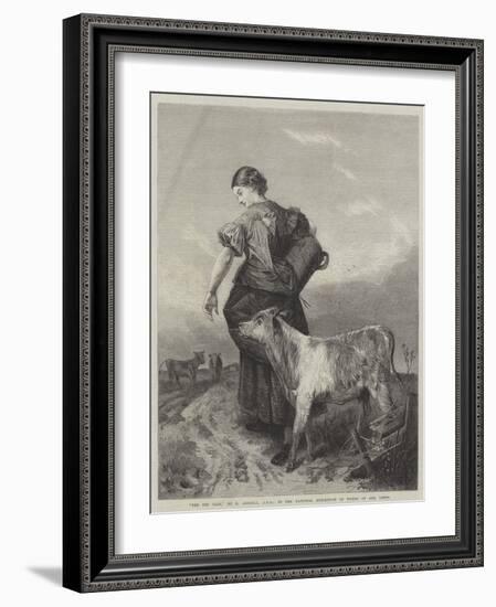 The Pet Calf-Richard Ansdell-Framed Giclee Print