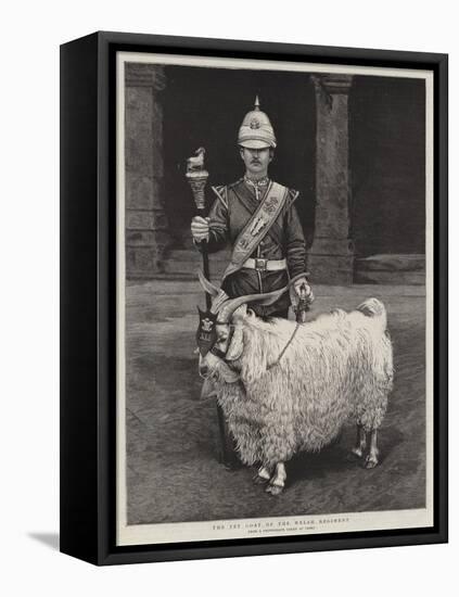 The Pet Goat of the Welsh Regiment-null-Framed Premier Image Canvas