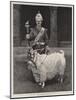 The Pet Goat of the Welsh Regiment-null-Mounted Giclee Print