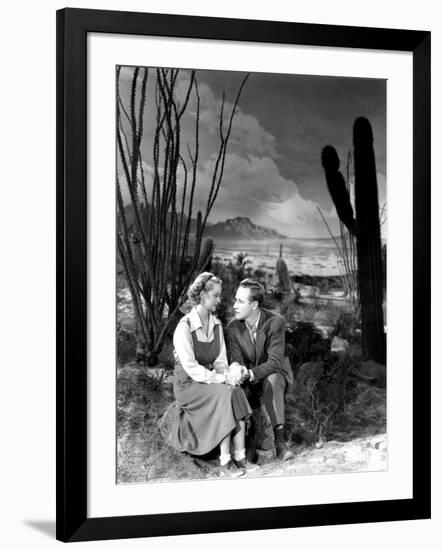 Photo, , large