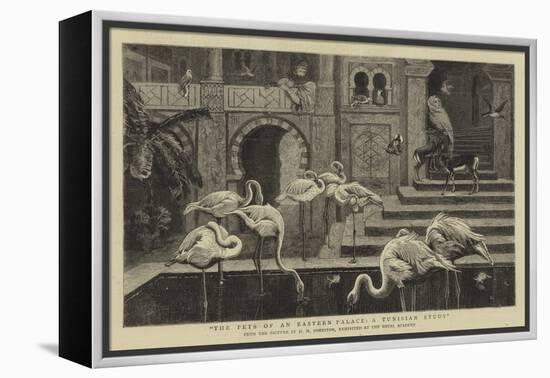 The Pets of an Eastern Palace, a Tunisian Study-Harry Hamilton Johnston-Framed Premier Image Canvas