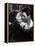 The Philadelphia Story, 1940-null-Framed Premier Image Canvas