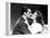 The Philadelphia Story, Cary Grant, Katharine Hepburn, 1940-null-Framed Stretched Canvas