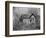 The Photo House' at Clonbruck, Ireland, C.1867-Augusta Crofton-Framed Giclee Print