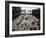 The Piazzetta, Venice, Veneto, Italy-Michael Jenner-Framed Photographic Print