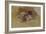 The Picture Book-Robert Frederick Blum-Framed Giclee Print