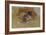 The Picture Book-Robert Frederick Blum-Framed Giclee Print