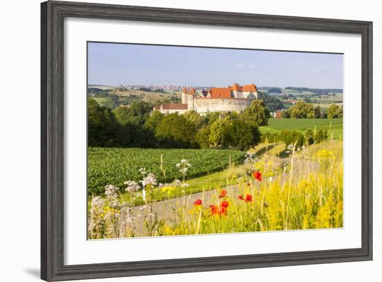 The Picturesque Medieval Harburg Castle, Harburg, Swabia, Bavaria, Germany-Doug Pearson-Framed Photographic Print