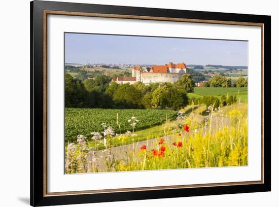 The Picturesque Medieval Harburg Castle, Harburg, Swabia, Bavaria, Germany-Doug Pearson-Framed Photographic Print