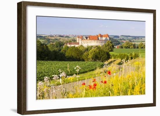 The Picturesque Medieval Harburg Castle, Harburg, Swabia, Bavaria, Germany-Doug Pearson-Framed Photographic Print