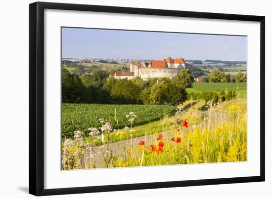 The Picturesque Medieval Harburg Castle, Harburg, Swabia, Bavaria, Germany-Doug Pearson-Framed Photographic Print