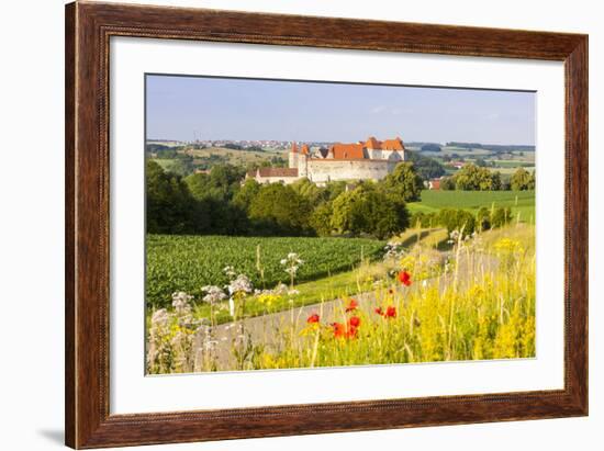 The Picturesque Medieval Harburg Castle, Harburg, Swabia, Bavaria, Germany-Doug Pearson-Framed Photographic Print