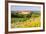 The Picturesque Medieval Harburg Castle, Harburg, Swabia, Bavaria, Germany-Doug Pearson-Framed Photographic Print