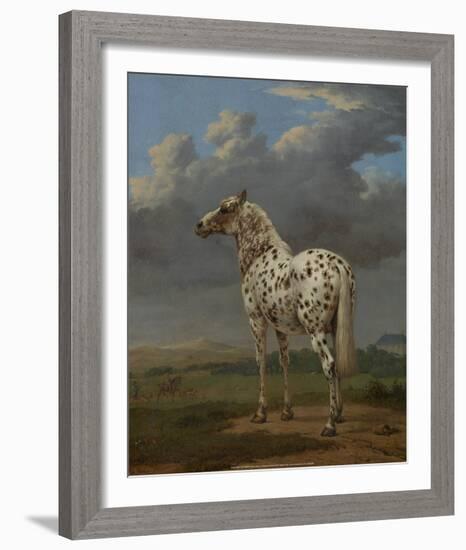 The “Piebald” Horse, 1650-54-Paulus Potter-Framed Art Print