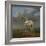 The "Piebald" Horse. Ca. 1650-54-Paulus Potter-Framed Giclee Print