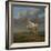 The "Piebald" Horse. Ca. 1650-54-Paulus Potter-Framed Giclee Print