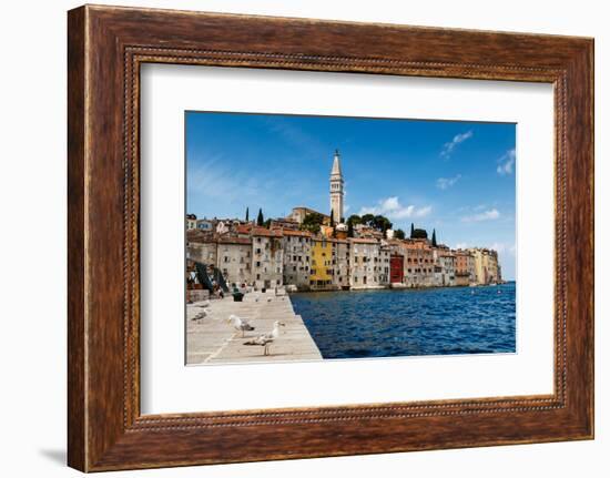 The Pier and the City of Rovinj on Istria Peninsula in Croatia-anshar-Framed Photographic Print