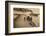 'The Pier and the entrance of the Mail-Steamer', c1928-Unknown-Framed Photographic Print