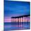 The Pier at Saltburn-By-The-Sea, North Yorkshire, at Sunrise-Travellinglight-Mounted Photographic Print