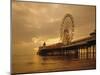 The Pier, Blackpool, Lancashire, England, UK, Europe-Charles Bowman-Mounted Photographic Print