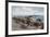 The Pier, Ryde, I of Wight-Alfred Robert Quinton-Framed Giclee Print