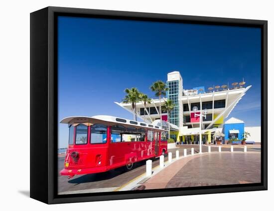 The Pier, St. Petersburg, Florida-George Oze-Framed Premier Image Canvas