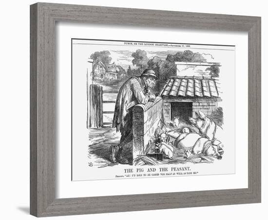 The Pig and the Peasant, 1863-John Tenniel-Framed Giclee Print