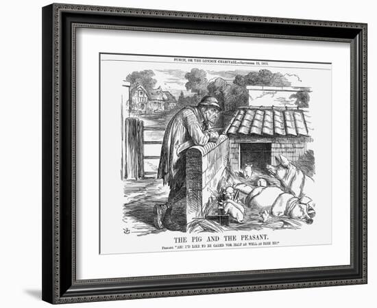 The Pig and the Peasant, 1863-John Tenniel-Framed Giclee Print