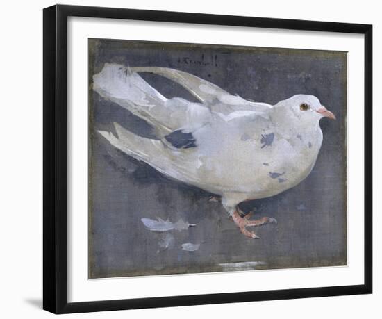 The Pigeon-Joseph Crawhall-Framed Premium Giclee Print