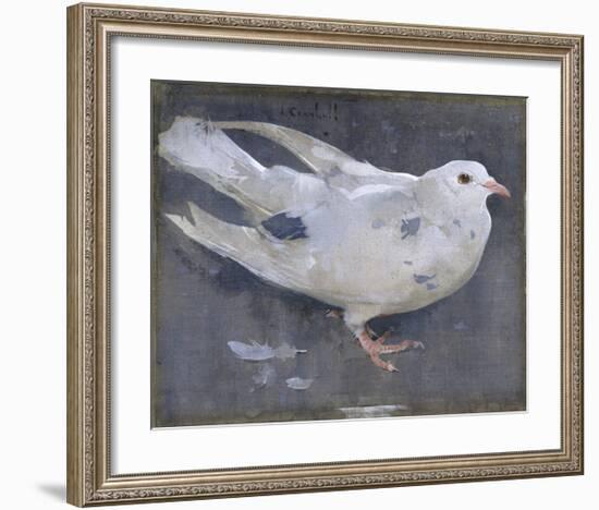 The Pigeon-Joseph Crawhall-Framed Premium Giclee Print