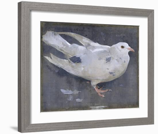 The Pigeon-Joseph Crawhall-Framed Premium Giclee Print