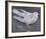 The Pigeon-Joseph Crawhall-Framed Premium Giclee Print