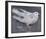 The Pigeon-Joseph Crawhall-Framed Premium Giclee Print