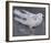 The Pigeon-Joseph Crawhall-Framed Premium Giclee Print