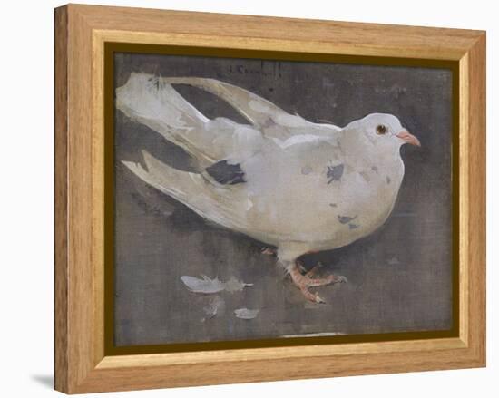 The Pigeon-Joseph Crawhall-Framed Premier Image Canvas