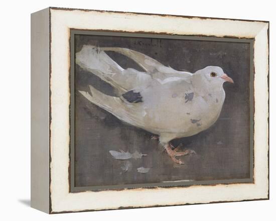 The Pigeon-Joseph Crawhall-Framed Premier Image Canvas