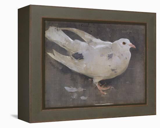 The Pigeon-Joseph Crawhall-Framed Premier Image Canvas